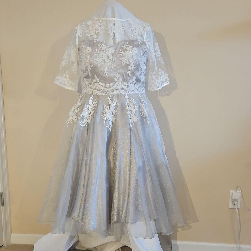 Elegant White and Silver Dress